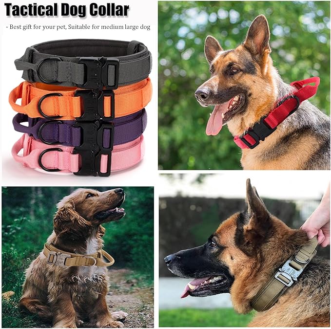 Tactical Dog Collar, Adjustable Military Training Nylon Dog Collar with Control Handle and Heavy Quick-Release Metal Buckle for Small Medium Large Dogs, Grey L