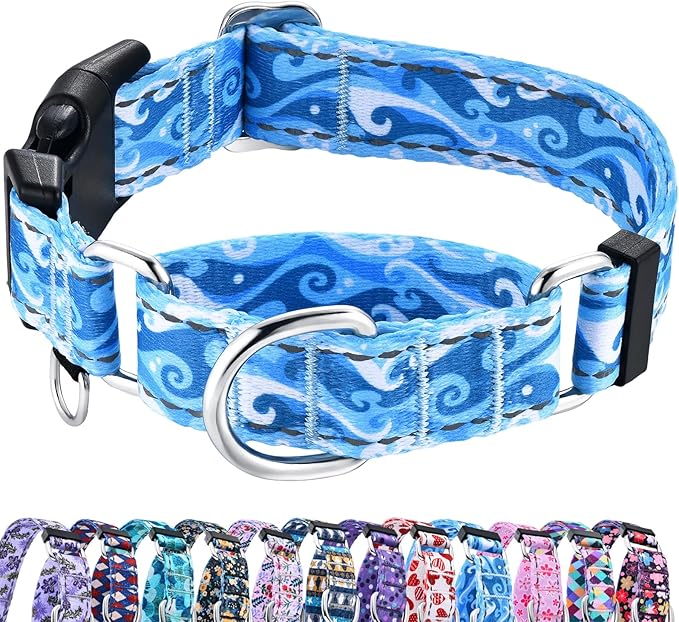 Reflective Martingale Collar with Quick Release Buckle Anti Pulling Boy Male Adjustable Dog Collars (Blue Waves, Small)