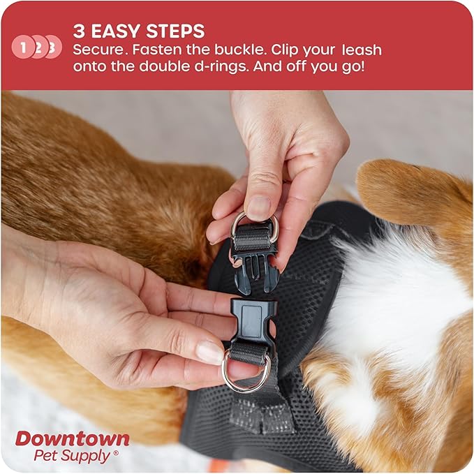 Downtown Pet Supply Step-in Dog Harness – No Pull, Adjustable Padded Mesh with Reflective Trim, Secure Buckle Strap – Comfortable & Breathable Small Dog Harness, X-Small, Charcoal