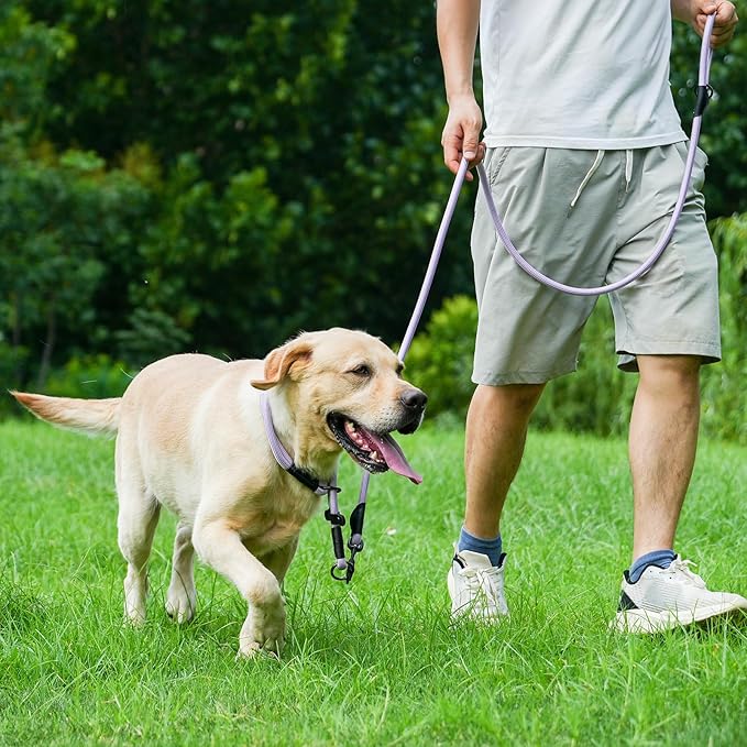 Rope Dog Leash, 4 ft Heavy Duty Dog Leash with Aviation Aluminum Auto Locking Carabiner, Strong Nylon Pet Lead for Small, Medium, Large Dogs (Yellow, 4FT)