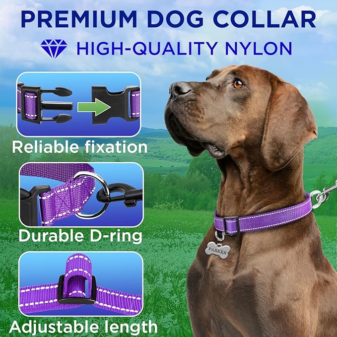 TECEUM Reflective Dog Collar – Purple – XL – Basic Nylon Pet Collar – Quick Release Buckle – Fits Small, Medium and Large Dogs, Puppies, Cats – ESA & Service Dog Options
