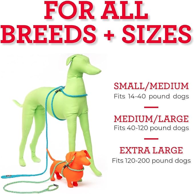 Harness Lead No Pull Dog Harness and Leash Set, Anti Pull Dog Harness, One-Piece Cushioned Rope Safely Prevents Escaping and Pulling *New Insert is Removable (Medium/Large, Reef)