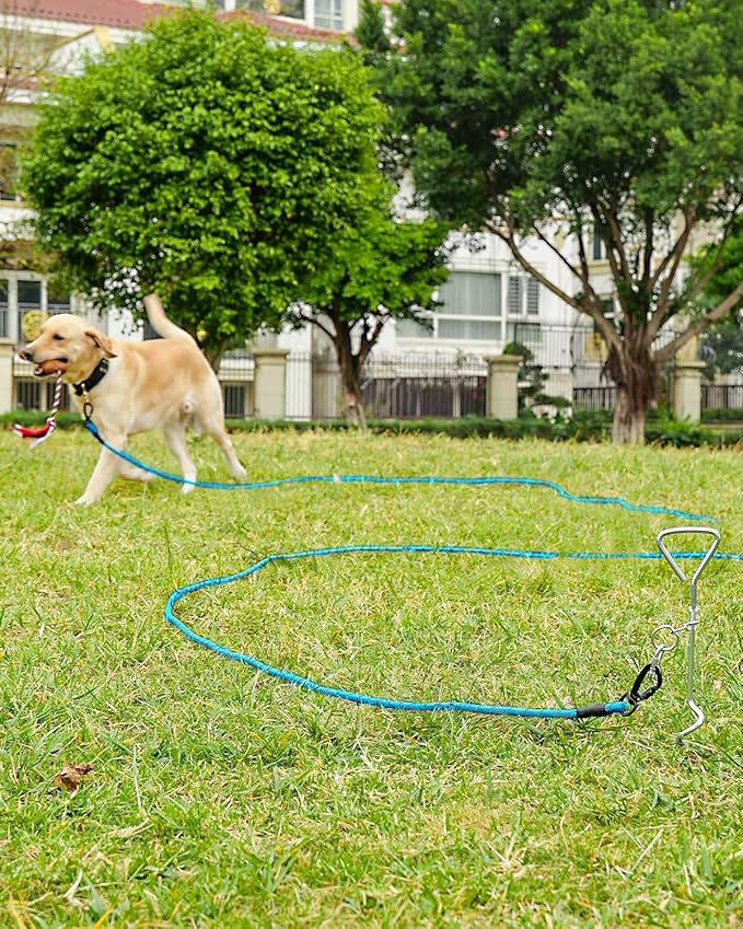 Joytale Long Leash for Dog with Removable Padded Handle, Heavy Duty Lead for Large Medium Dogs,15FT/30FT/50FT/65FT Reflective Training Leash for Play, Camping, Backyard Tie Out, Blue, 30FT