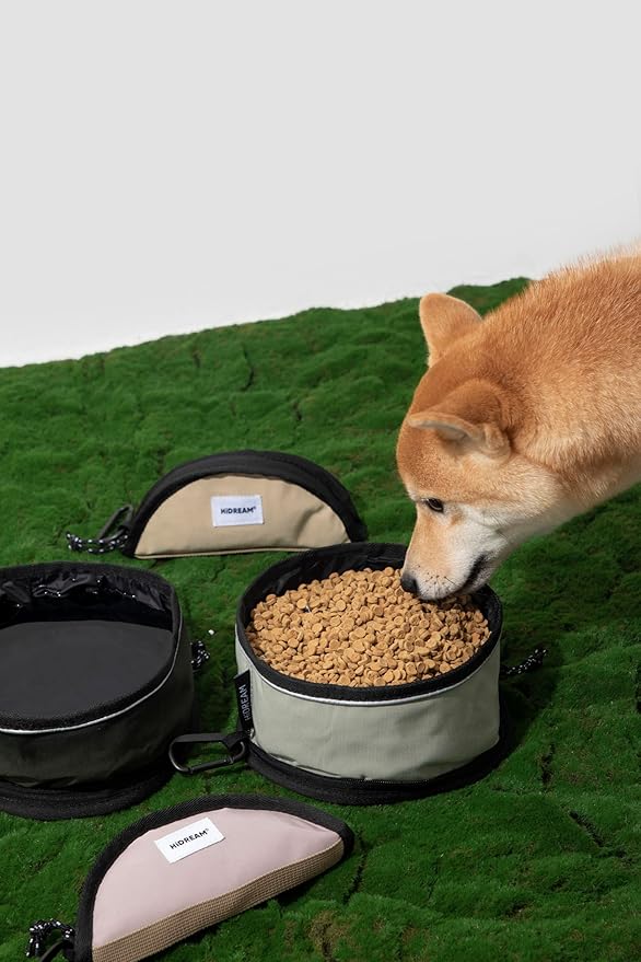 Dog Collapsible Water Bowl Light Pet Food Bowls for Travel Portable Outdoor Dog Dish 1000ml Large Capacity Cat Bowl with Clasp for Camping Walking (Green)