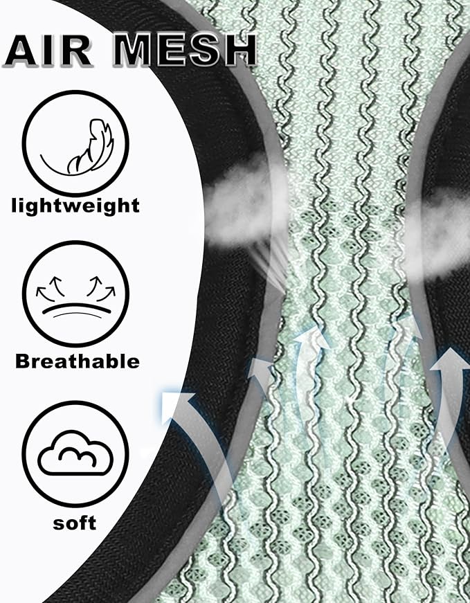 Dog Harness Small Sized and Leash Set, Step in Soft Light Puppy Vest, Breathable Mesh Pet Harness Suitable for Puppies and Kittens. (Light Green, XXS(Chest:10.24-11.81"))