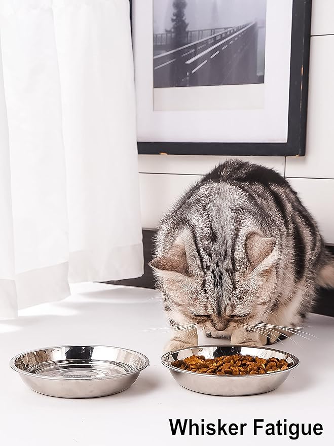 VENTION Small Shallow Cat Food Bowls, Outer Dia. 5.7 in Whisker Fatigue Cat Bowl, Stainless Steel Cat Food Dish for Indoor Cats, Set of 2 Replacement Cat Bowls for Raised Station(10.8 Fl.oz)