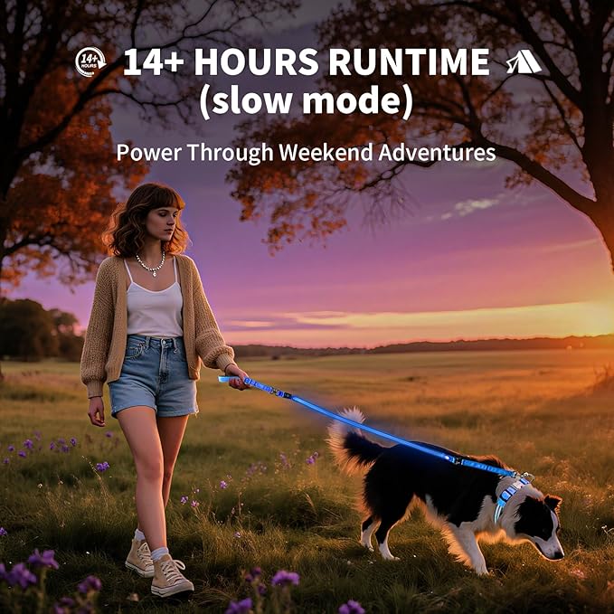 PetIsay Night Walking LED Dog Leash - 6FT Reflective & Waterproof Light Up Safety Leashes for Dogs - USB Rechargeable, Blue