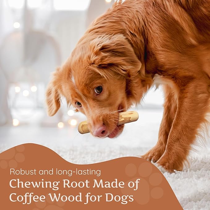Wildfang® Coffee Wood Dog Chew, Medium – Tough Chew Toys for Aggressive Chewers, Dog Teething Toys for Puppies, Training for Chewing Muscles, Coffee Tree Sticks for Medium Dogs (33–55 lbs), Pack of 3
