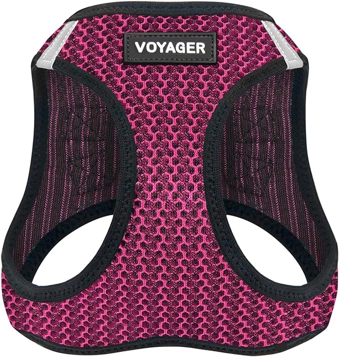 Best Pet Supplies Voyager Step-in Air Harness - All Weather Mesh, Reflective, No Pull Harness for Dogs, Cats - Secure with Hook & Loop Fastener, Buckle, Double D-Rings - Fuchsia 2-Tone, XL