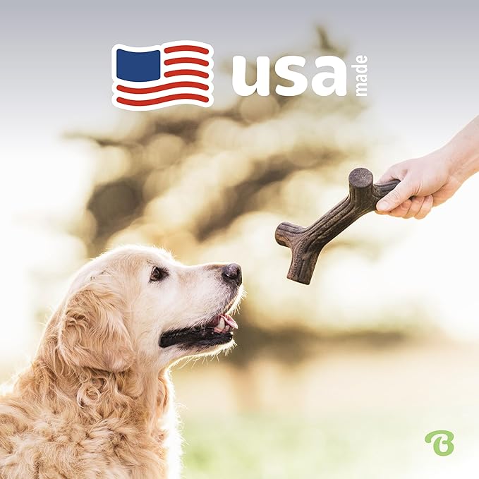 Benebone Maplestick Real Wood Durable Dog Chew Toy, Made in USA, Medium