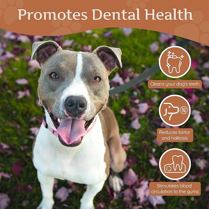 Wildfang® Coffee Wood Dog Chew, Medium – Tough Chew Toys for Aggressive Chewers, Dog Teething Toys for Puppies, Training for Chewing Muscles, Coffee Tree Sticks for Medium Dogs (33–55 lbs), Pack of 3