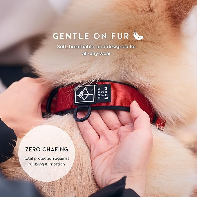 MADE TO ROAM Comfort Collar - Adjustable Nylon Dog Collar with Soft Comfortable Padding, Light Aviation Aluminum Metal Buckle for Small, Medium and Large Dogs (Nevada Evening, Size 0)