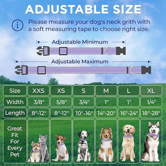TECEUM Reflective Dog Collar – Lavender – S – Extra Soft Padding – Basic Nylon Pet Collar – Quick Release Buckle – Fits Small, Medium and Large Dogs, Puppies, Cats – ESA & Service Dog Options