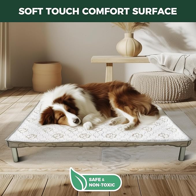 FXW TitanNest Chew-Proof Elevated Dog Bed, Raised Cot for Indoor/Outdoor/Camping Use, Durable & Washable Padded Pet Bed with Exclusive Cover for Extra-Small Dogs, 29.0" L x 18.0" W x 4.5" H, Black