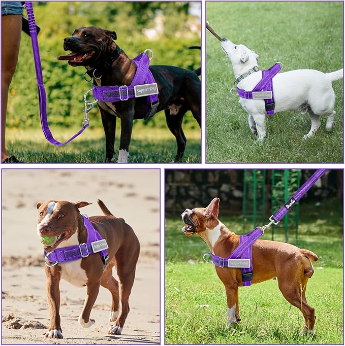 SlowTon No Pull Dog Harness - Heavy Duty Dog Harness and Leash Set for Medium Large Dogs, Reflective Tactical Harness with Soft Padded and Front Clip for Easy Walk and Training (PU, L)