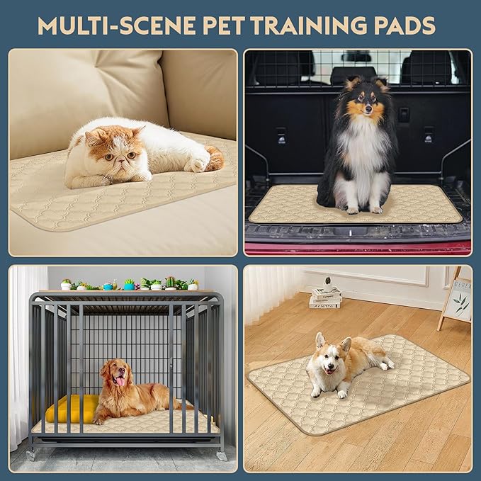 Washable Pee Pads for Dogs - 2 Pack Reusable Waterproof Puppy Training Pads, Super Absorbent with Dog Paw Shape Non-Slip Backing (Cream, 24" X 36" - 2 Pack)