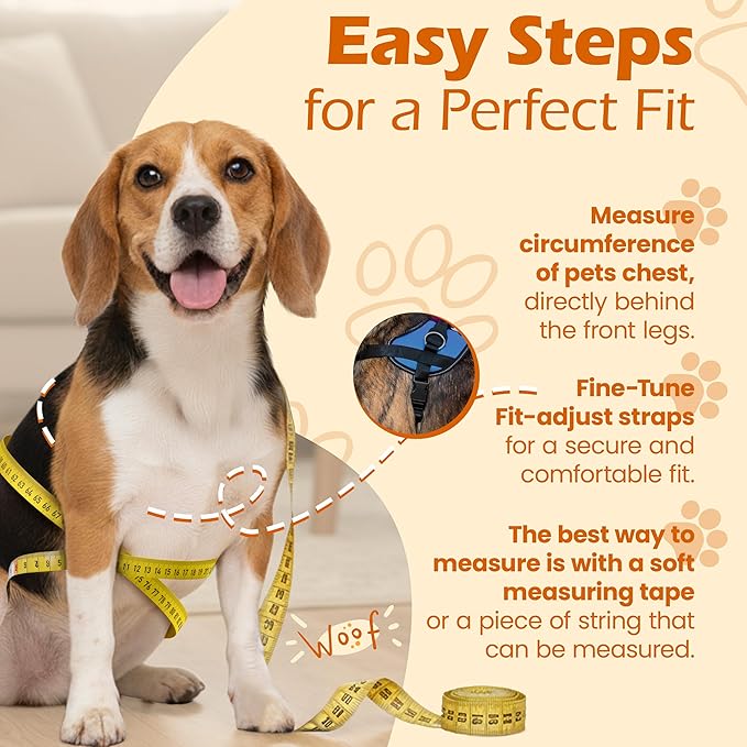 Bark Appeal Aqua Blue No-Pull Dog Harness for XS to Small Sized Pets – Adjustable, Reflective Vest with 3 Leash Clips for Added Control, Easy Walks & Training – Small