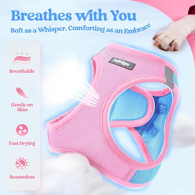 rabbitgoo Dog Harness Small Medium Sized and Leash Set, Step in Soft Light Puppy Vest, Breathable Mesh Pet Harness, Reflective for Safe Easy Walking, Blue & Light Pink L