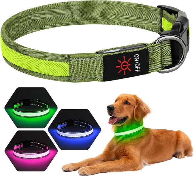 Dolitego LED Dog Collar USB Rechargeable - Light Up Dog Collar Safety Pet Collars with Lights for Night Walking, Camping (Green, M)