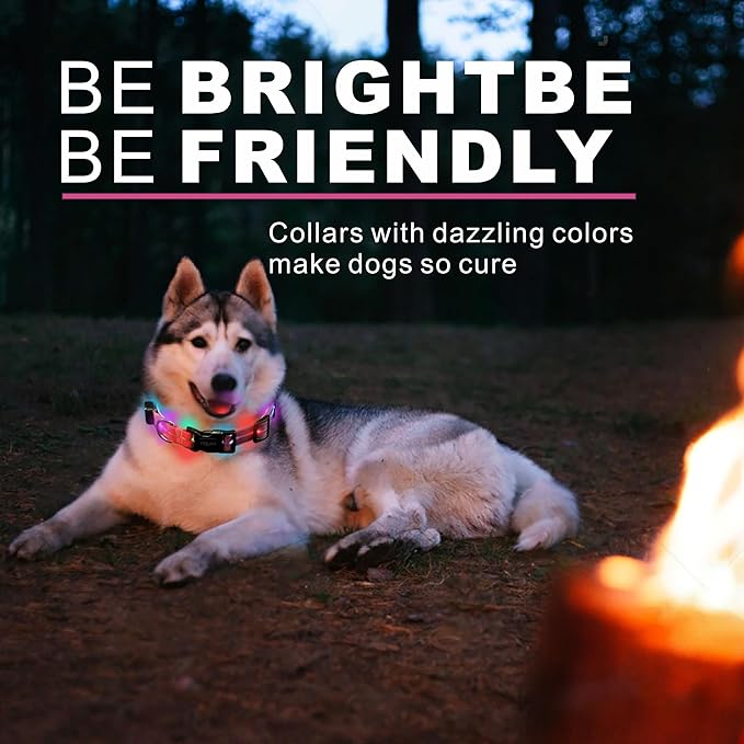 Light up Dog Collars, LED Dog Collar, Lighted Safety Collar for Walking at Night for Small Medium, Large Dogs (Cute Pink)