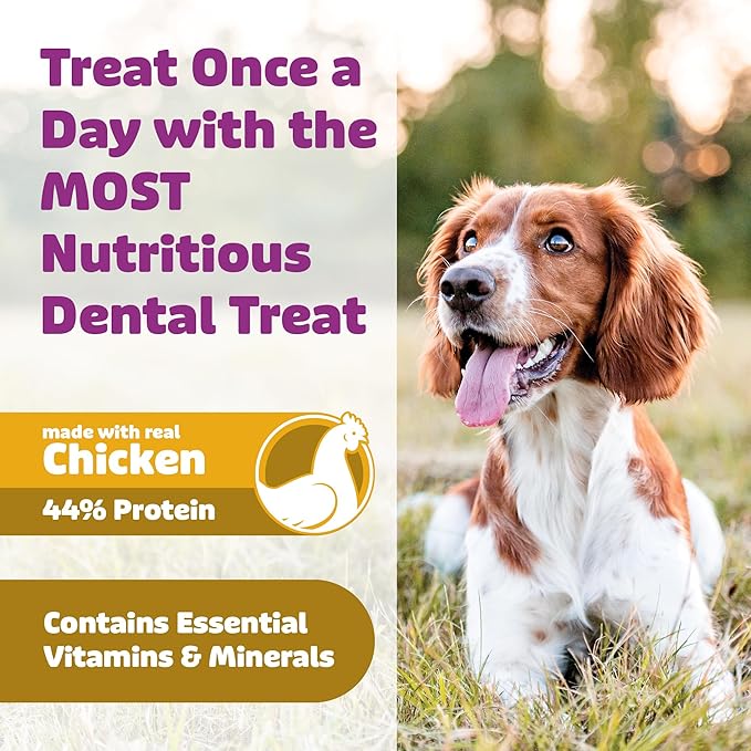 Yummy Combs Dog Dental Treats – Vet VOHC Approved – Delicious Chicken Protein – Removes Tartar with Cleaning Comb Shape – Dental Dog Treats for Small Dogs (24oz, 42 Count)
