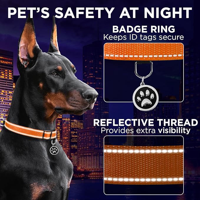 TECEUM Reflective Dog Collar – Orange – XL – Extra Soft Padding – Basic Nylon Pet Collar – Quick Release Buckle – Fits Small, Medium and Large Dogs, Puppies, Cats – ESA & Service Dog Options