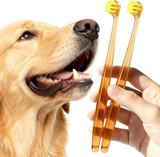 Large Dog Toothbrush for Medium and Large Dogs, 2pcs, Super Soft Bristle, Long Durable Handle, Pet Tooth Brush and Dental Care Kit, Super Thin Bristle Gentle on Gum for Sensitive Pets, Amber