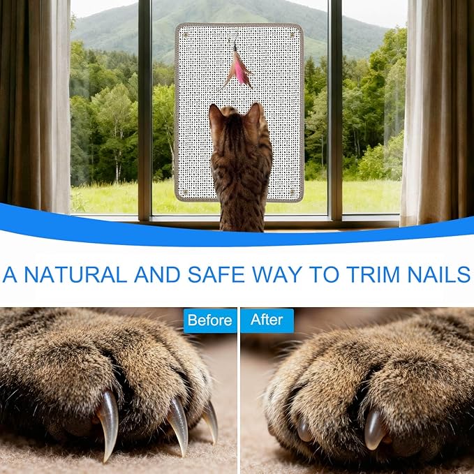Cat Nail File Scratcher- Natural Sisal Scratching Pad with 80-Grit Aluminum Oxide, Wall/Floor Cat Scratcher is Ideal for Trimming Cat Nails & Furniture Protection (16.65"x13.58")