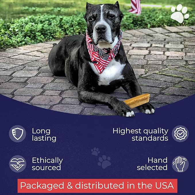 Devil Dog Pet Co. Himalayan Yak Cheese Dog Chews, Medium - 12 Pack, 100% Natural & Healthy, Lactose-Free, Long-Lasting Dog Treats, Premium Yak Milk Chew Bones for Dogs