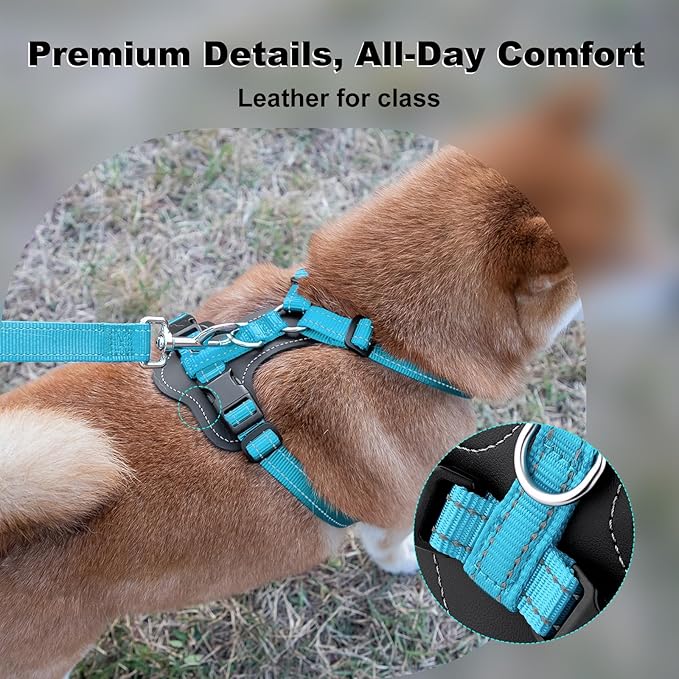Plutus Pet Adjustable No Pull Dog Harness with Leather Accents, Heavy Duty Reflective Nylon Vest for Training, Hiking, Easy Walk Harness for Small, Medium, Large Dogs (Light Blue, M)