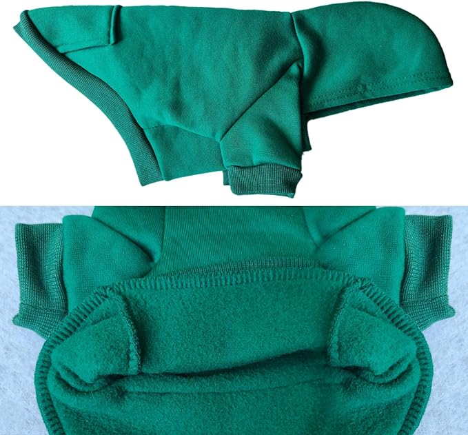 Jecikelon Winter Dog Hoodie Sweatshirts with Pockets Warm Dog Clothes for Small Dogs Chihuahua Coat Clothing Puppy Cat Custume (Green, XX-Small)