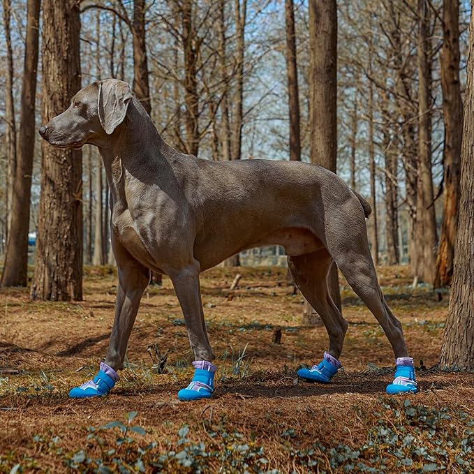 Dog Shoes, Waterproof Dog Boots & Paw Protectors with Anti-Slip Sole, 4pcs/Set Pet Dog Booties, Reflective Dog Shoes for Small Medium Large, Winter Snowy Summer Hot Pavement (Blue, 8# (2XL))