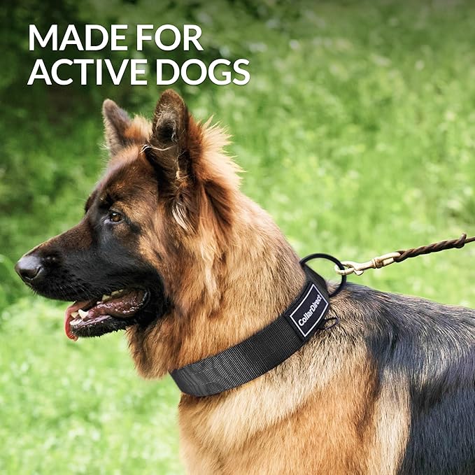 Heavy Duty Dog Collar for Large or Medium Dogs, Adjustable Strong Dog Collar for Active Dogs, Double-Layered Nylon (Black, 15-23)