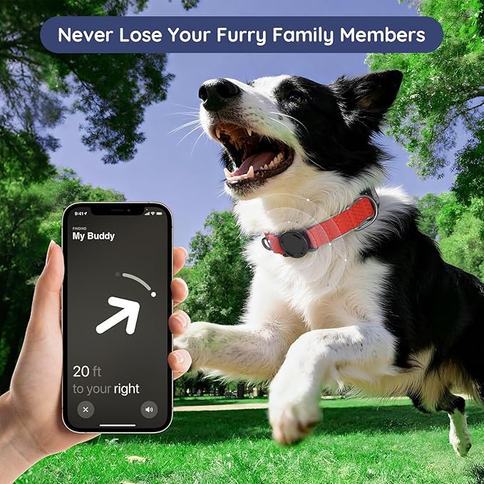 WhoseID Airtag Dog Collar | with Waterproof Air Tag Holder | QR Code Pet ID | Durable Comfortable Oxford Padded | Reflective Collar | for Small Puppy Dogs(Red,S,10''~16'')