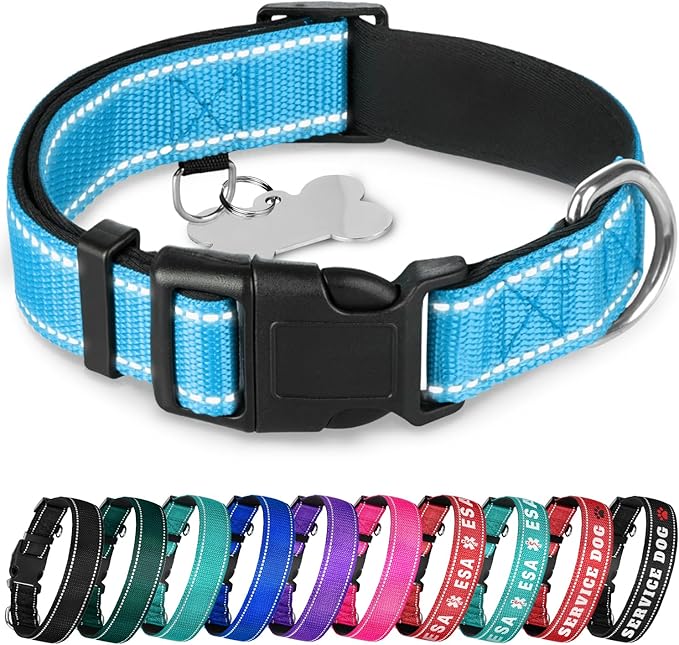 TECEUM Reflective Dog Collar – Sky Blue – S – Extra Soft Padding – Basic Nylon Pet Collar – Quick Release Buckle – Fits Small, Medium and Large Dogs, Puppies, Cats – ESA & Service Dog Options