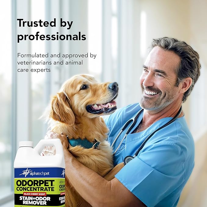 OdorPet Pet Stain Remover and Odor Eliminator - 64 Oz (Makes 2.55 Gallons of Working Solution) Non Staining, Professional Strength, Black Cherry Scent by Alpha Tech Pet