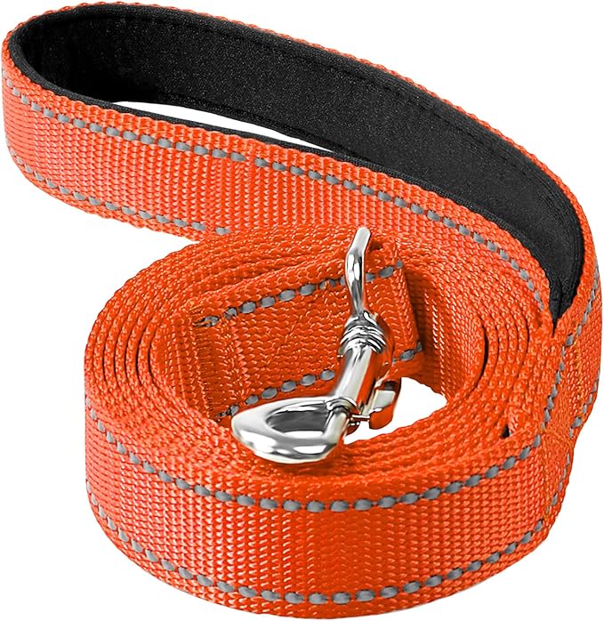 Erbine 6FT Reflective Nylon Dog Leash with Soft Padded Handle for Walking, Running and Training, Supports Small Medium and Large Dogs (Orange, 3/4Inch Wide)