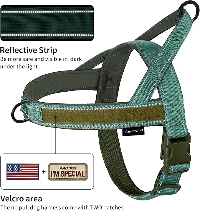 Annchwool No Pull Dog Harness with Padded Handle+5 Ft Leash,Reflective Strip Escape Proof and Quick Fit to Adjust Dog Harness,Easy for Training Walking for Small & Medium and Large Dogs(Green-Set,M)