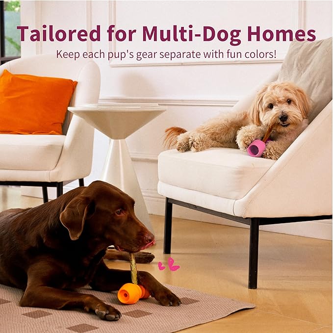 PetClan Chewise Bully Stick Holder, Improved Bully Sticks Holder, Ultimate Secure Heavy Duty, BPA-Free Safety Device to Prevent Choking, Fits Various Bully Sticks and Dog Sizes