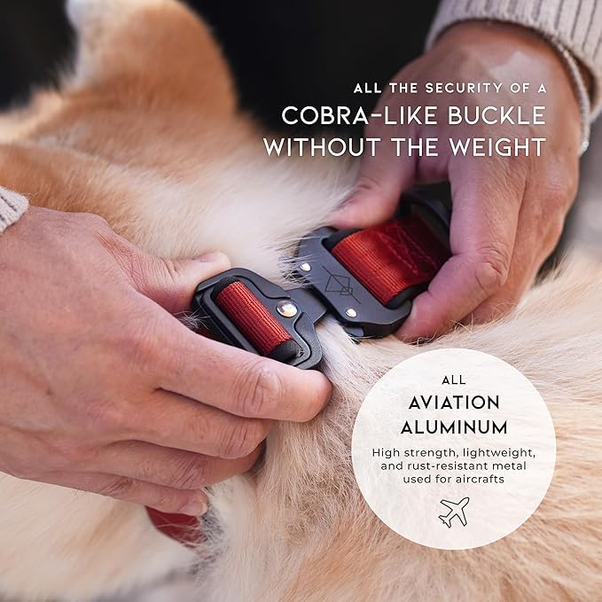 MADE TO ROAM Comfort Collar - Adjustable Nylon Dog Collar with Soft Comfortable Padding, Light Aviation Aluminum Metal Buckle for Small, Medium and Large Dogs (California Horizon, Size 5)