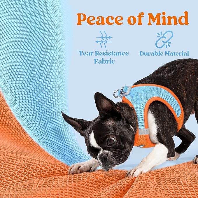 rabbitgoo Small Dog Harness, Step-in Soft Mesh Puppy Vest with Safety Buckle, Breathable Reflective Pet Harness for Large Dogs, Blue & Orange XXL