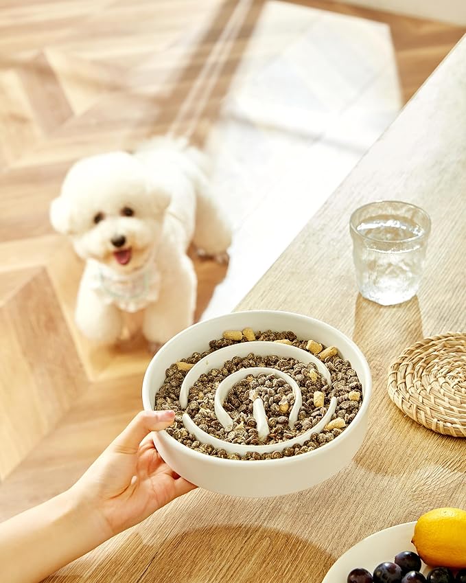 Ceramic Slow Feeder Dog Bowls, 2.0 Cups Slow Feeder for Medium and Large Dogs, Puzzle Maze Bowl to Slow Down Eating, 30oz, 8in, White