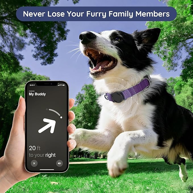 WhoseID Airtag Dog Collar | with Waterproof Air Tag Holder | QR Code Pet ID | Durable Comfortable Oxford Padded | Reflective Collar | for Small Puppy Dogs(Purple,S,10''~16'')