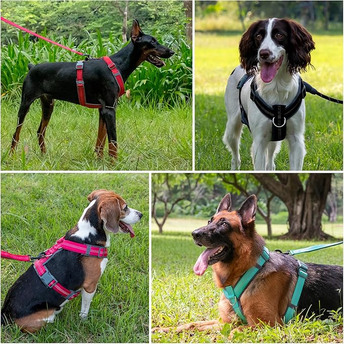 Plutus Pet No Pull Dog Harness, Adjustable Nylon Harness with Soft Padding, Reflective and Heavy Duty Dog Harness for Small, Medium, Large Dogs(Black, XS)