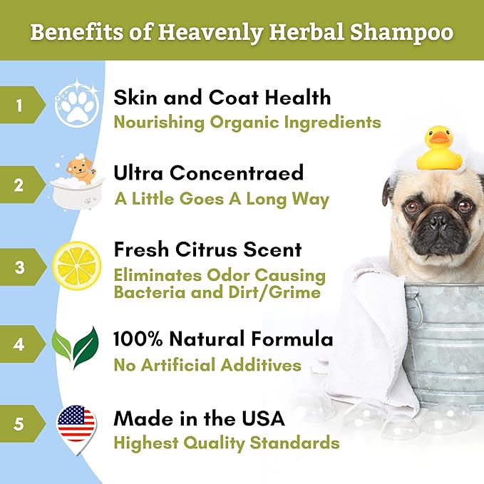 Wholistic Pet Organics Pet Shampoo Concentrate: Heavenly Herbal Organic Dog Shampoo and Conditioner - All Natural Puppy and Cat Shampoo for Dry, Itchy Skin, Allergies, Dandruff (2.0, Ounces)