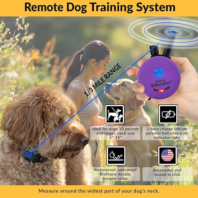Educator E-Collar Humane Dog Training Collar with Remote, 100 Safe Tapping Stimulation Levels, Night Light, Waterproof, Rechargeable, 1/3 Mile 1 Small Dog Double Bungee Bundle, Purple