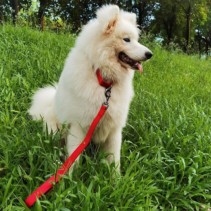 Advanced 18 Inch Short Dog Leash with Sturdy Nylon and Comfortable Padded Handle for Large Medium Breed Dogs Daily Use Jogging,Walking,Training etc. (18 Inches, Chili Pepper)
