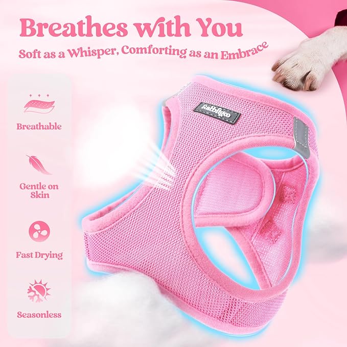 rabbitgoo Dog Harness Small Sized and Leash Set, Step in Soft Light Puppy Vest, Breathable Mesh Pet Harness, Reflective for Safe Easy Walking, Light Pink XXXS