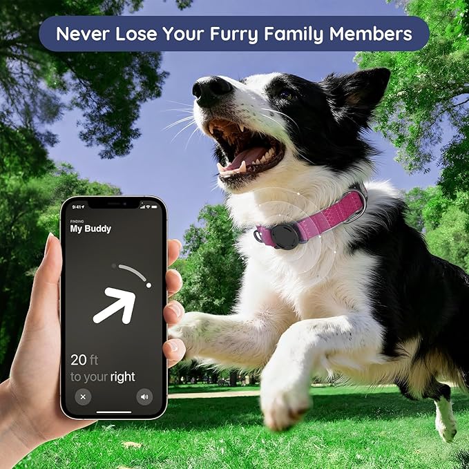 WhoseID Airtag Dog Collar | with Waterproof Air Tag Holder | QR Code Pet ID | Durable Comfortable Oxford Padded | Reflective Collar | for Small Puppy Dogs(Rose,S,10''~16'')