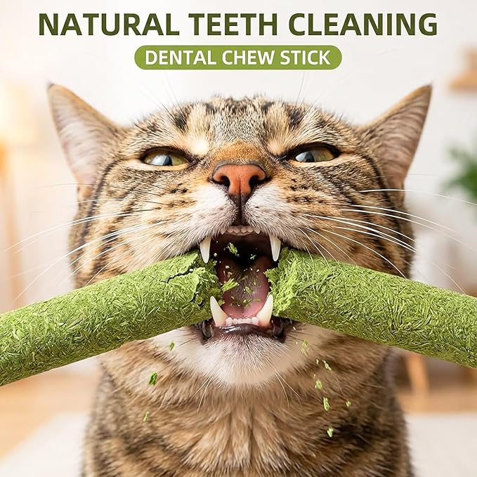 GREMBEB 6Pack Cat Toys Cats Grass Treat Catnip Toy with Silvervine for Indoor Kitten Toys Wood Kitty Chew Rope Grass Sticks for Teeth Cleaning Kitten Snack for Catnip Dental Care Self Play
